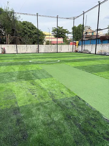 Turf photo 9