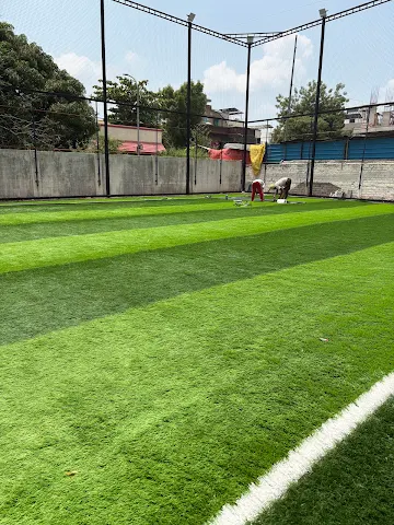Turf photo 7