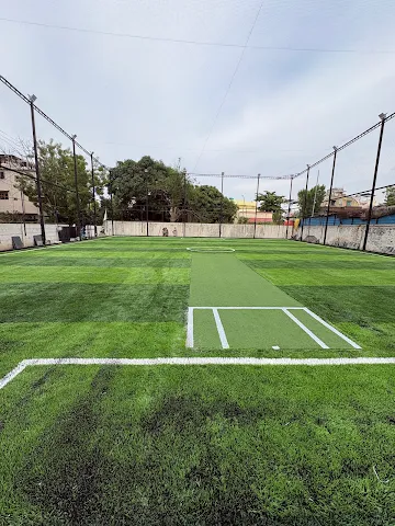 Turf photo 4