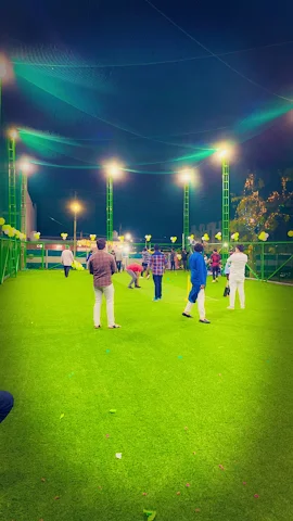 Turf photo 2