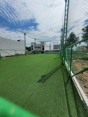 Turf photo 6
