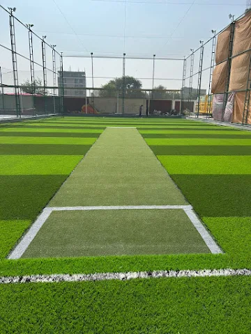 Turf photo 2