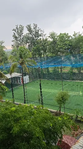 Turf photo 3