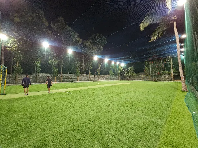 Turf main photo