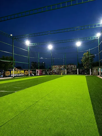 Turf photo 2