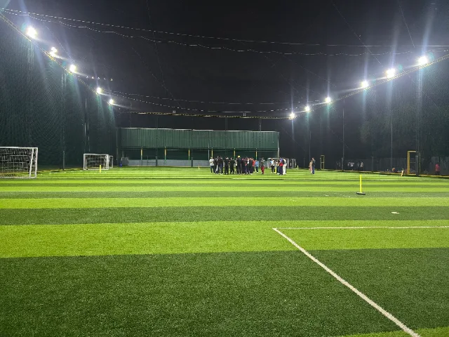 Turf photo 3