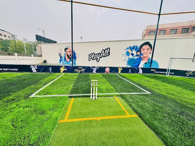 Turf photo 2