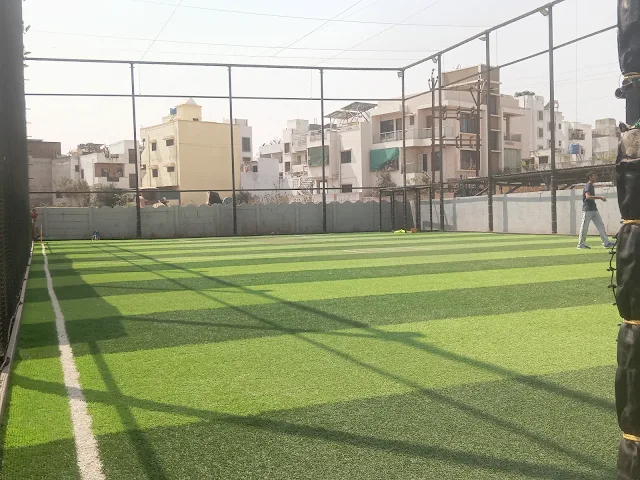 Turf photo 5