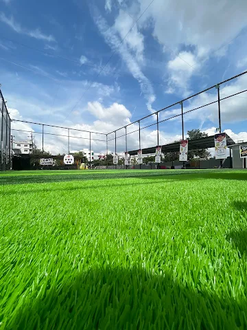 Turf photo 3