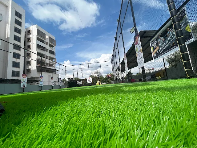 Turf photo 2