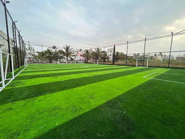 Turf main photo