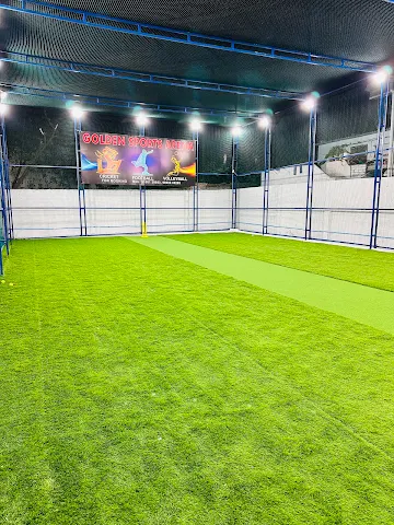 Turf photo 2