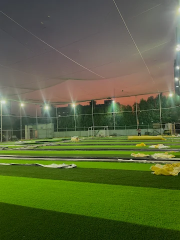 Turf photo 6