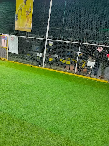Turf photo 2