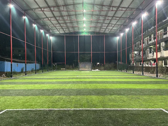 Turf photo 2