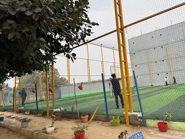 Box Cricket by Paws Club