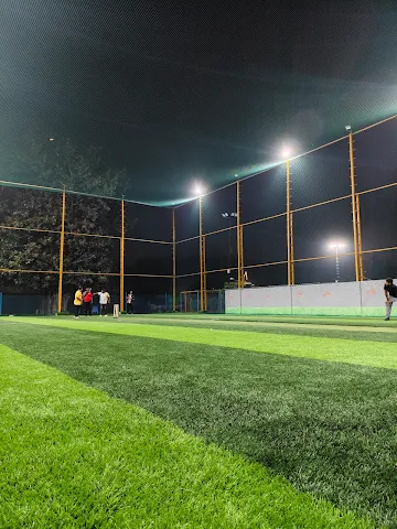 Turf photo 2