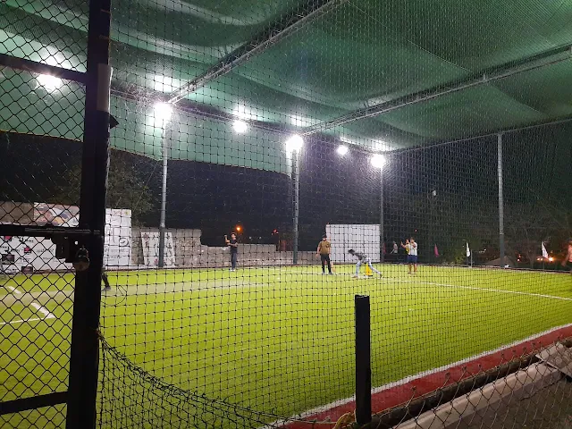 Turf photo 5