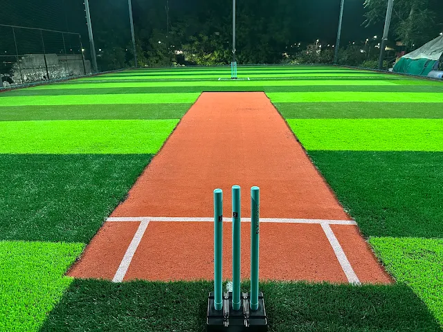 Turf photo 2