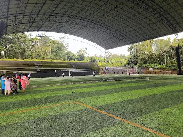 Turf main photo