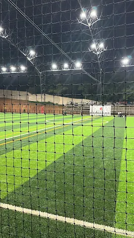 Turf photo 4