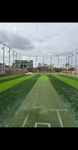 Turf photo 4