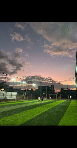 Turf photo 2