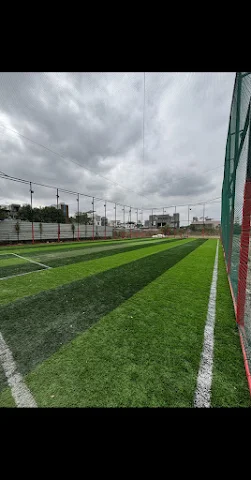 Turf photo 3