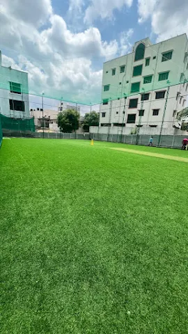 Turf main photo