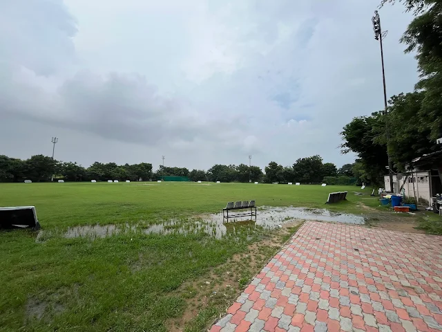 Turf photo 4
