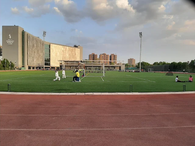 Turf main photo