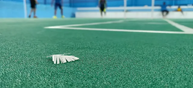 Turf photo 2