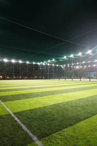 Turf photo 5