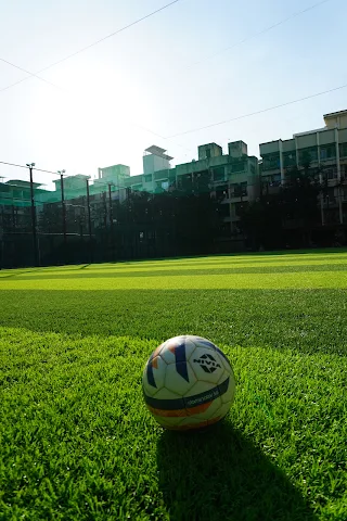 Turf photo 2