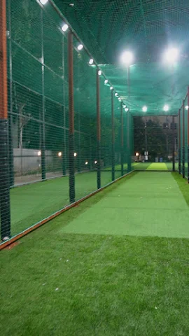 Turf photo 8