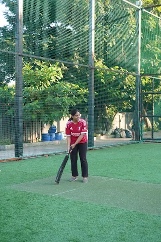 Turf photo 7