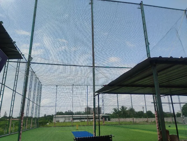 Turf photo 4