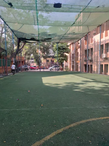Turf photo 3