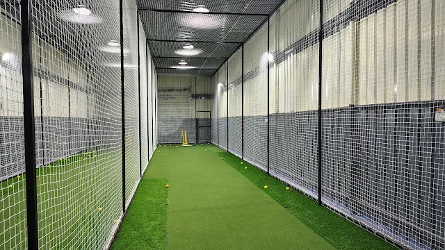 Turf photo 8