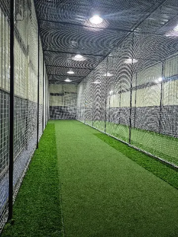 Turf photo 2