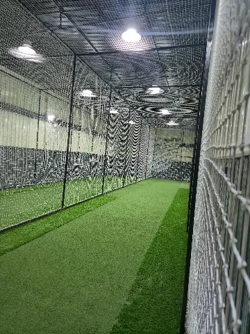 Turf photo 9