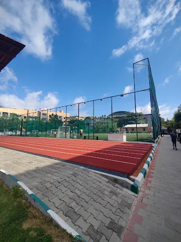 Turf photo 2