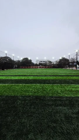 Turf photo 3