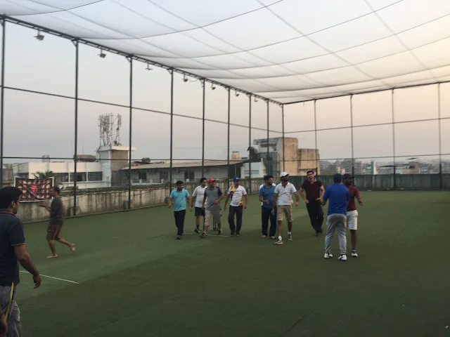 Turf photo 2