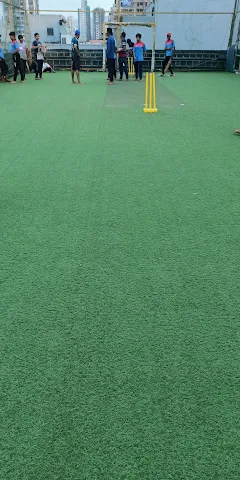 Turf photo 4