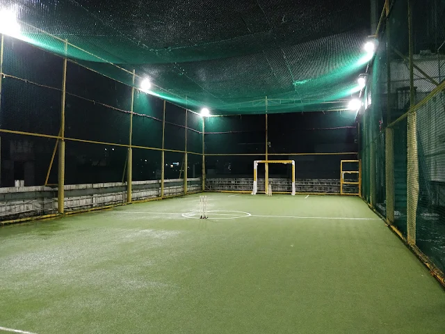 Turf photo 2