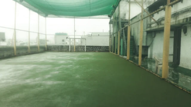 Turf main photo