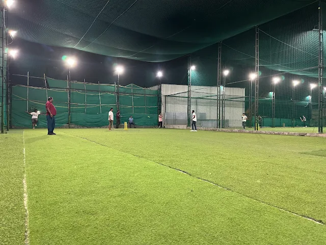 Turf photo 2