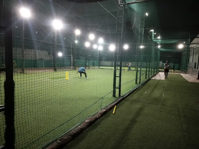 Turf photo 5