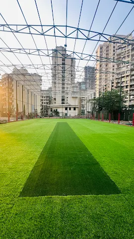 Turf photo 2